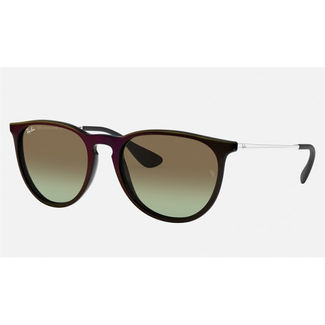 Ray Ban Erika Classic RB4171 Sunglasses Gradient + Black Frame Brown Gradient Lens