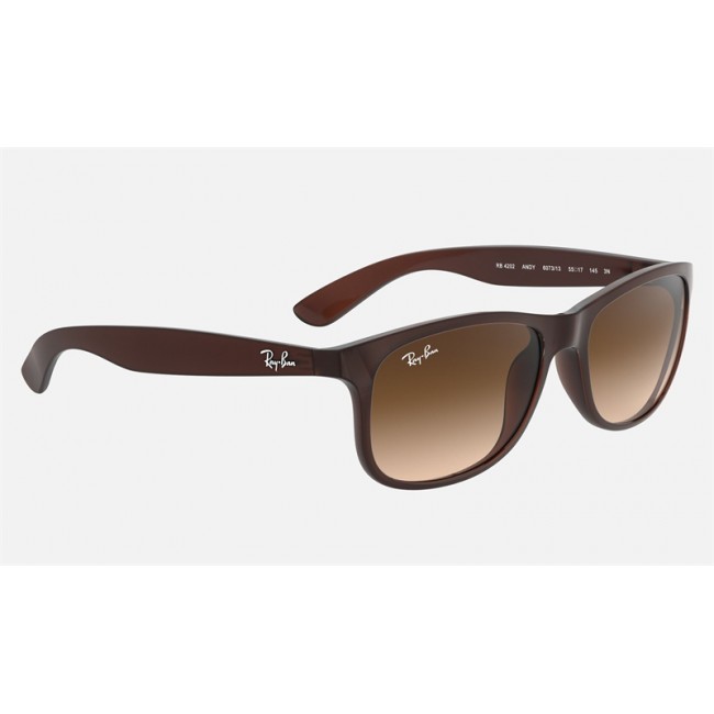Ray Ban New Wayfarer Andy RB4202 Sunglasses Gradient + Brown Frame Brown Gradient Lens